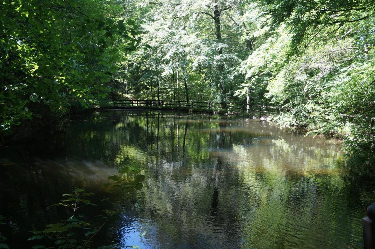 Ferienwohnung Lechsner Bad Harzburg Buitenkant foto